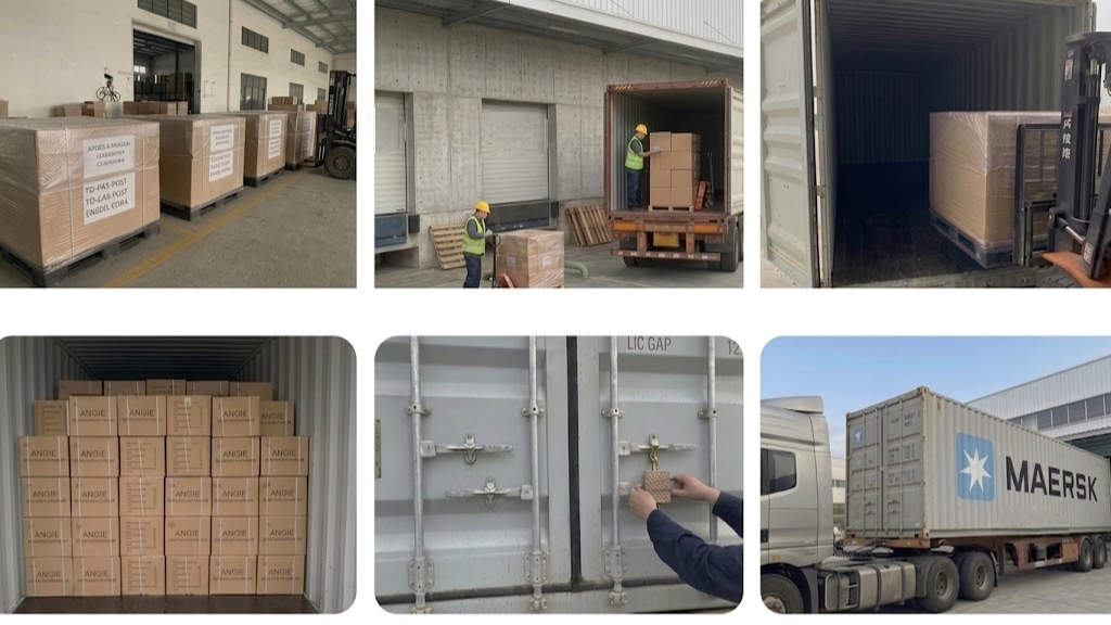 Global Conveyance Solutions